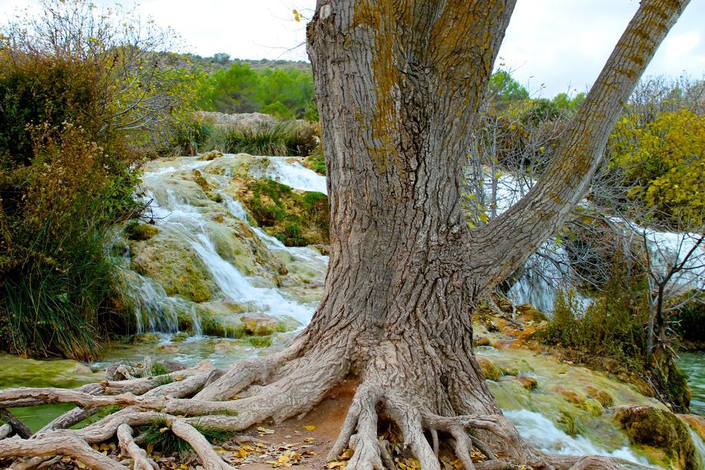 Casas Rurales Con Jacuzzi Quijote Y Sancho Ossa de Montiel Εξωτερικό φωτογραφία