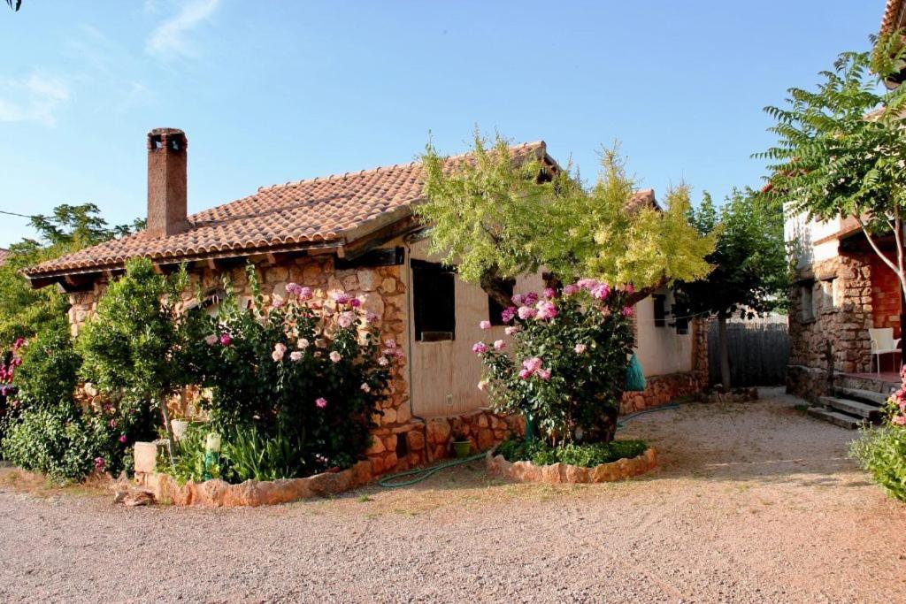 Casas Rurales Con Jacuzzi Quijote Y Sancho Ossa de Montiel Εξωτερικό φωτογραφία